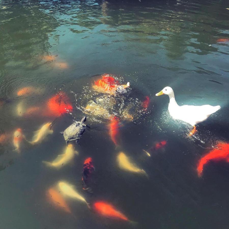 达拉曼Otantik Tas Ev住宿加早餐旅馆 外观 照片