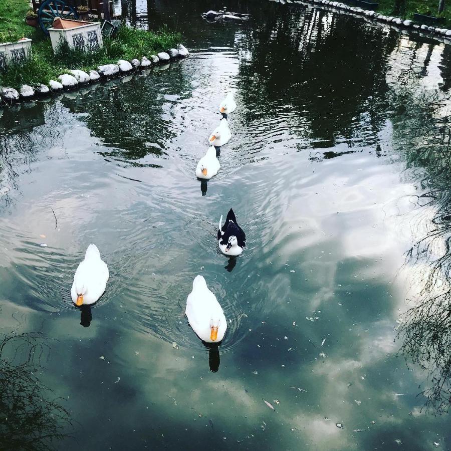 达拉曼Otantik Tas Ev住宿加早餐旅馆 外观 照片