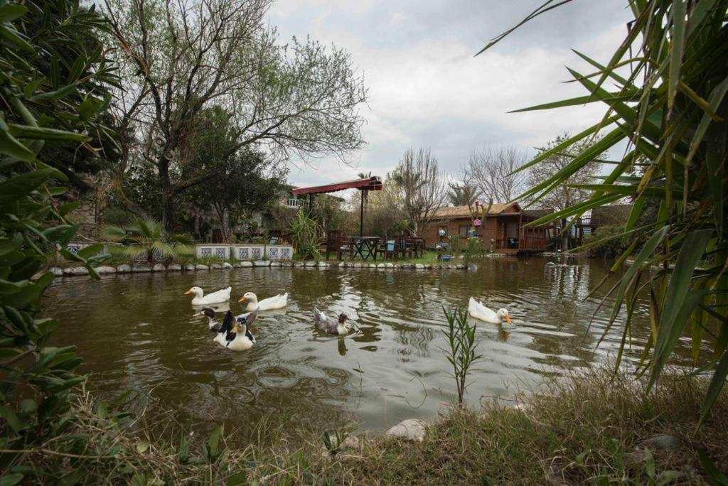 达拉曼Otantik Tas Ev住宿加早餐旅馆 外观 照片