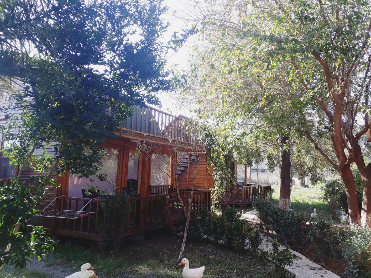 达拉曼Otantik Tas Ev住宿加早餐旅馆 外观 照片